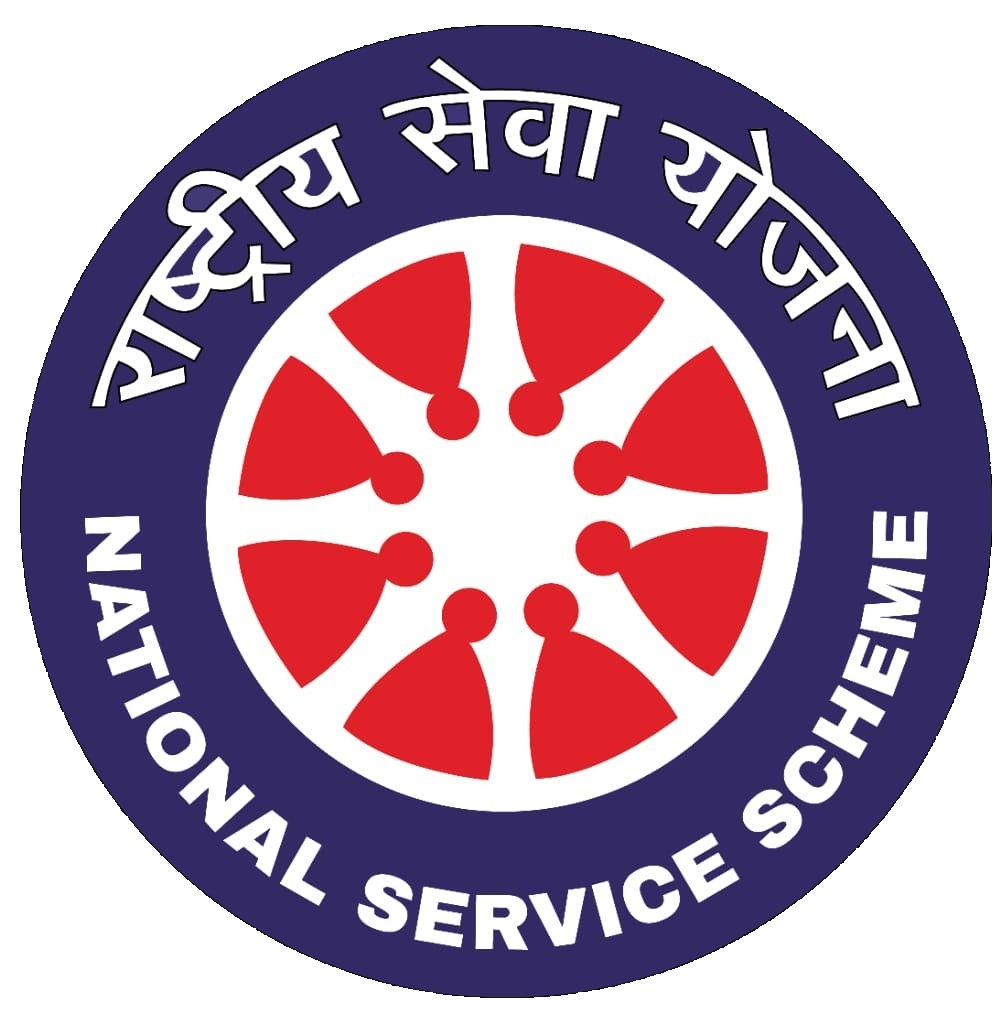 NSS Logo